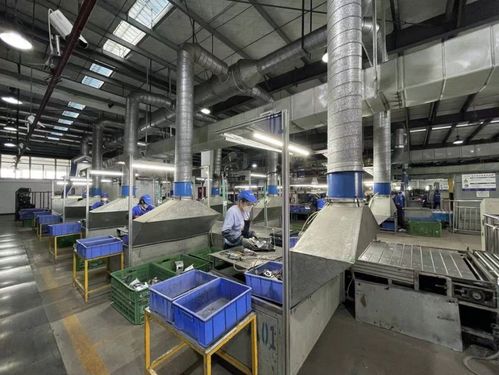 第二批家電生產(chǎn)企業(yè)回收目標(biāo)責(zé)任制行動(dòng)大幕拉開(kāi)