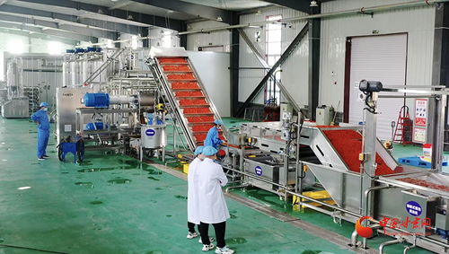 玉門(mén) 百企興百村 輸血更造血