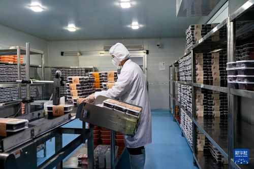 加緊生產(chǎn)保障旅客需求——五金行業(yè)在旅游旺季的應(yīng)對策略