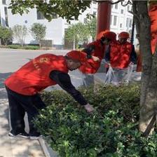 愛國(guó)衛(wèi)生重參與 志愿服務(wù)齊行動(dòng)——麒麟?yún)^(qū)太和街道開展建筑物清潔服務(wù)